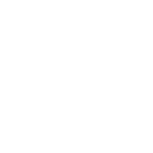 roxys Logo